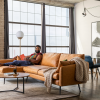 Park Sectional Sofa